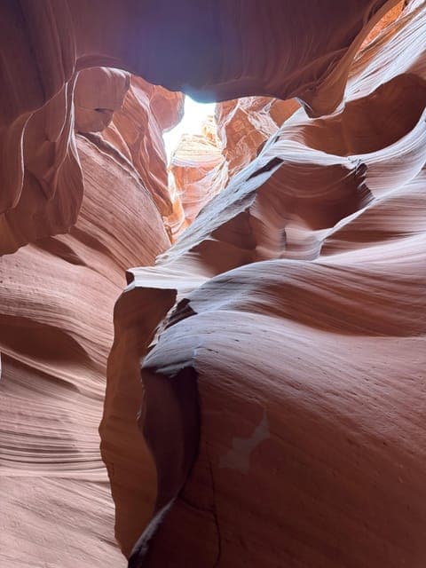 undefined Gallery Image 4