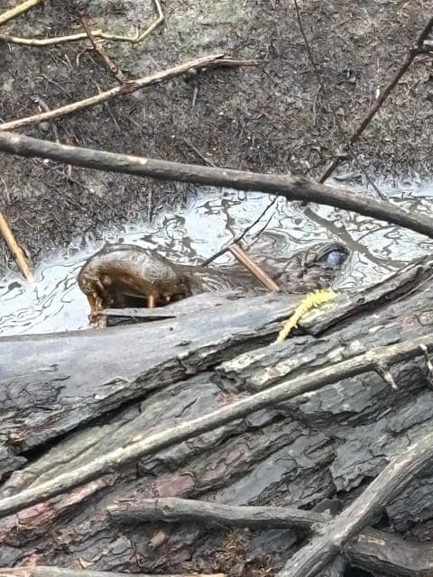 undefined Gallery Image 1