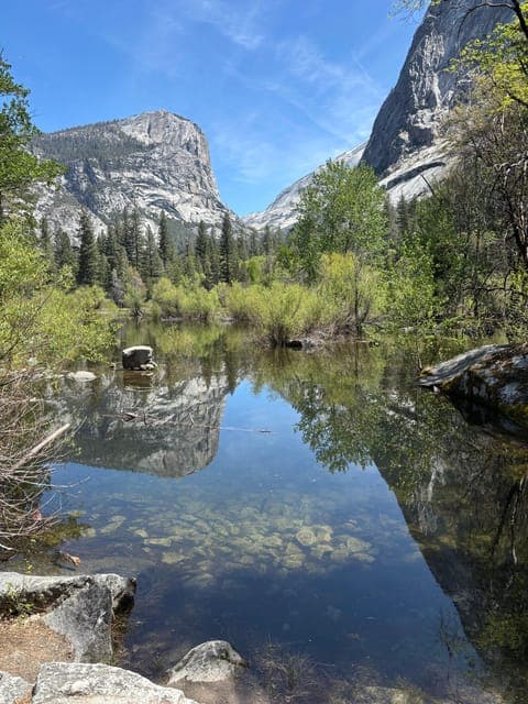 undefined Gallery Image 2