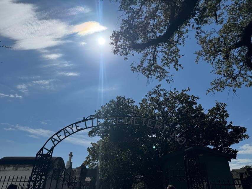 undefined Gallery Image 1