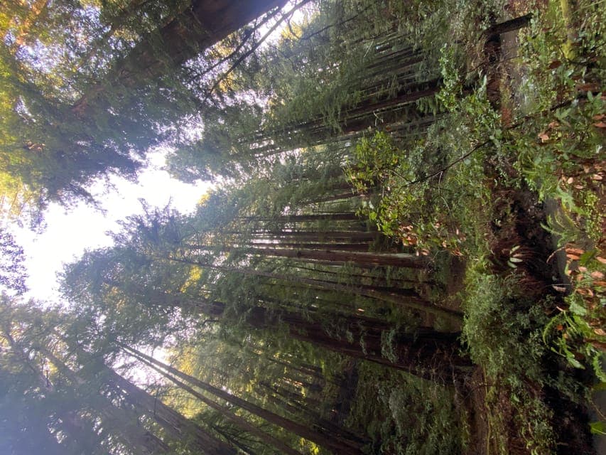 undefined Gallery Image 3