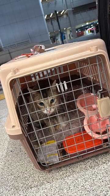 undefined Gallery Image 2