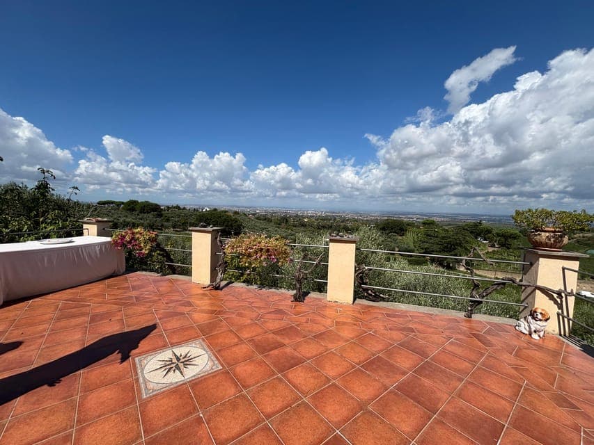 undefined Gallery Image 1