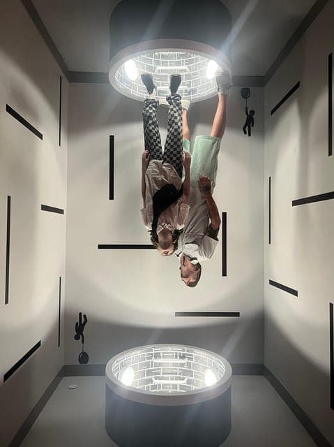 undefined Gallery Image 3