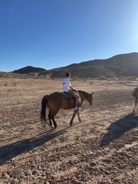 undefined Gallery Image 1