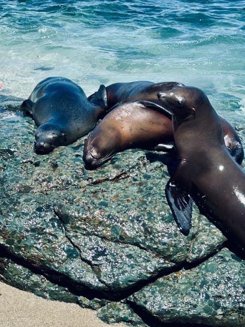 undefined Gallery Image 3