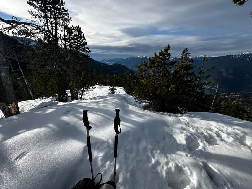 undefined Gallery Image 1