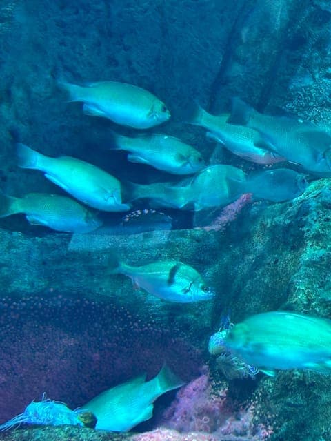 undefined Gallery Image 2