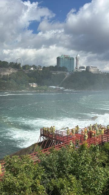 undefined Gallery Image 3