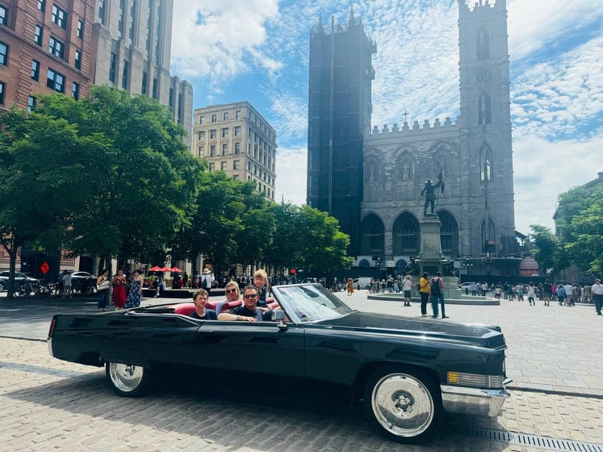 undefined Gallery Image 3