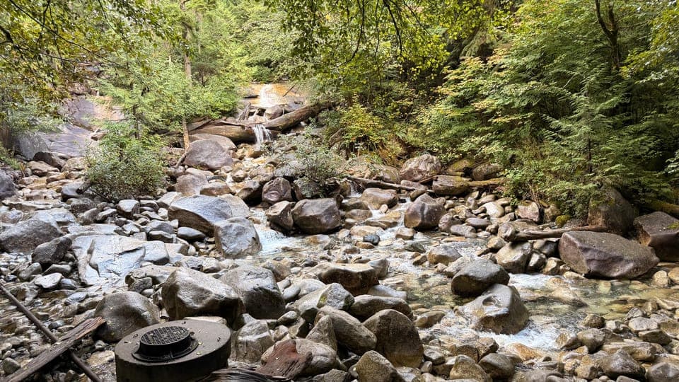 undefined Gallery Image 3