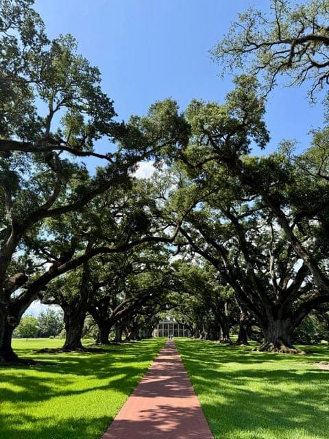 undefined Gallery Image 4