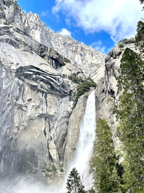 undefined Gallery Image 3