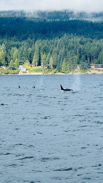 undefined Gallery Image 2