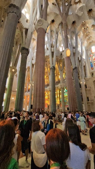 undefined Gallery Image 1