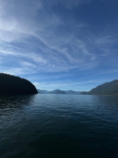 undefined Gallery Image 4