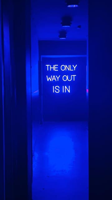 undefined Gallery Image 4