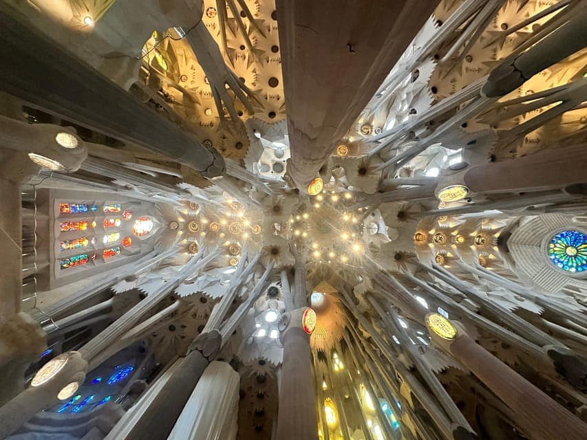 undefined Gallery Image 3