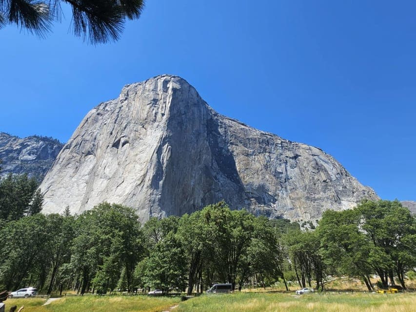 undefined Gallery Image 4