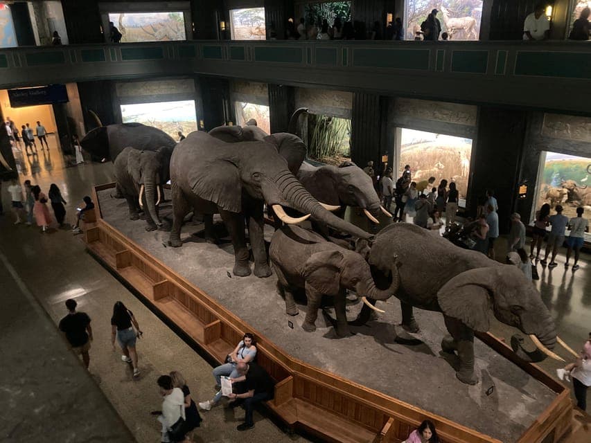 undefined Gallery Image 4