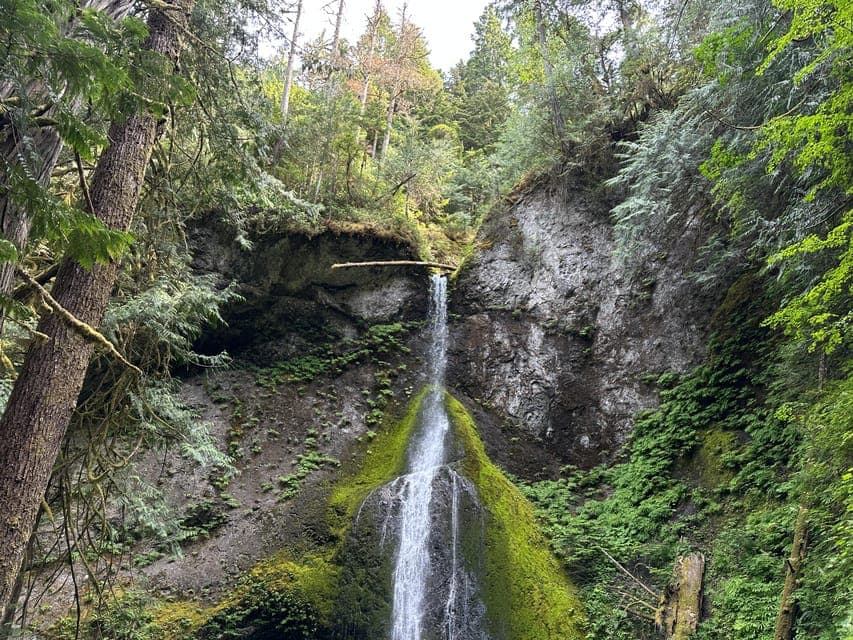 undefined Gallery Image 3