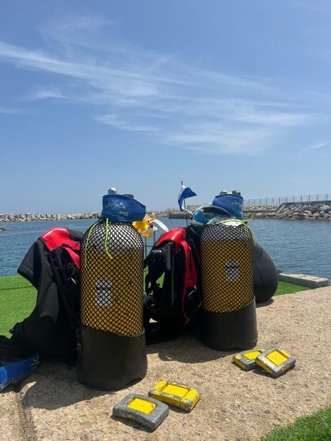 undefined Gallery Image 1