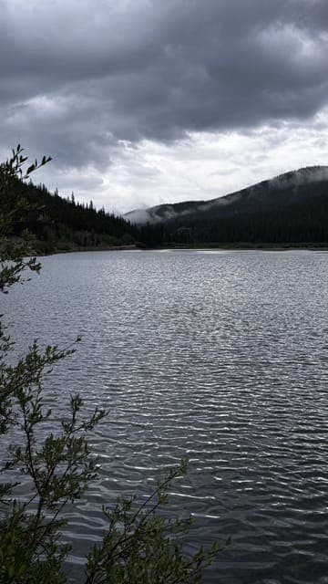 undefined Gallery Image 1