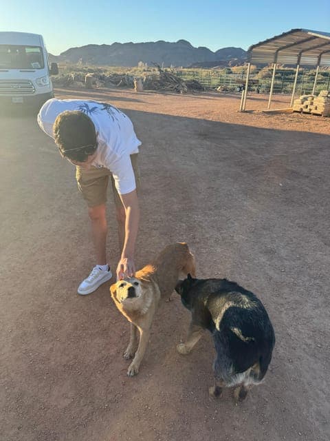 undefined Gallery Image 4