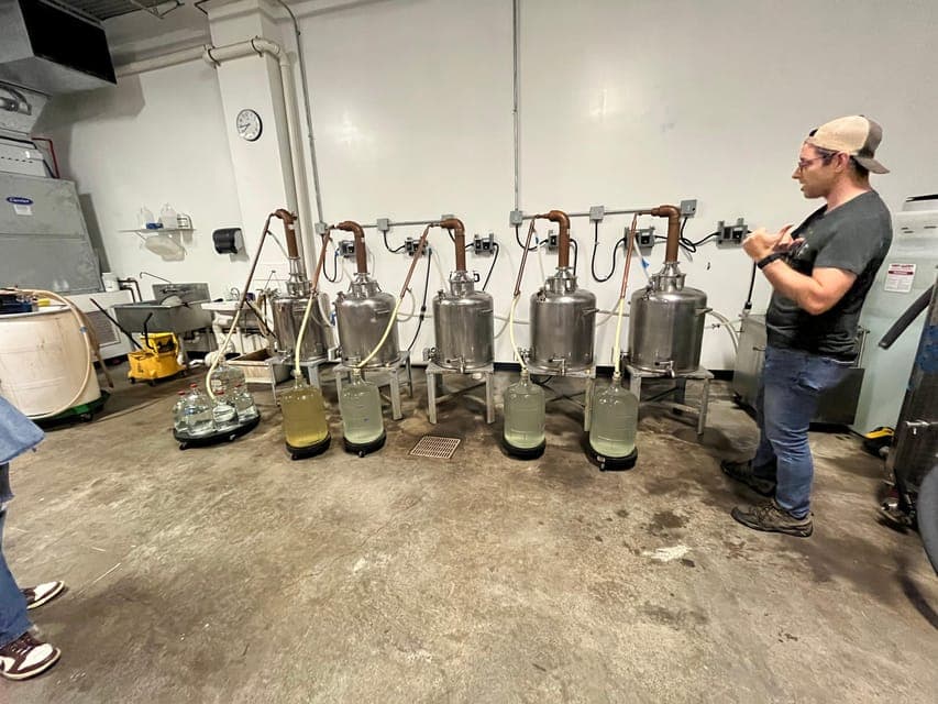 undefined Gallery Image 4