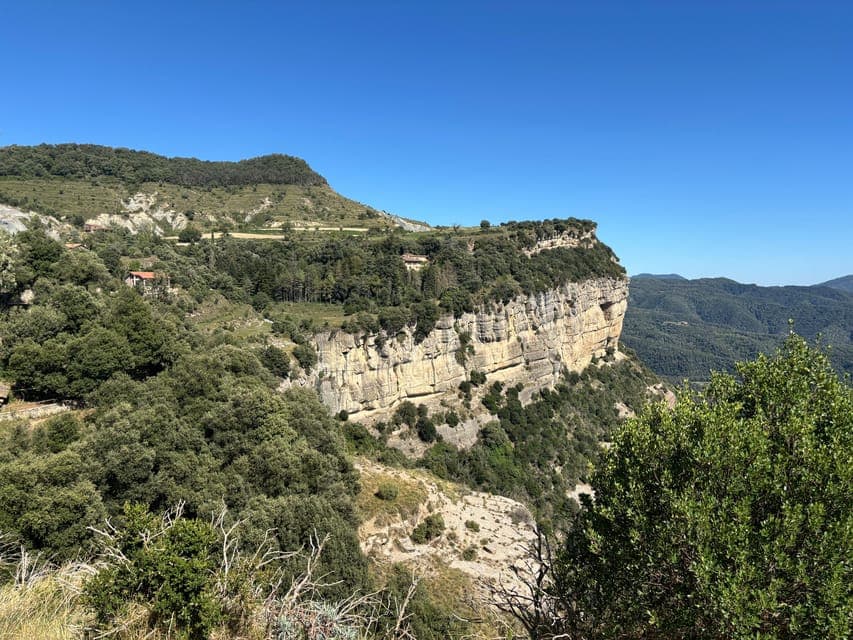 undefined Gallery Image 4