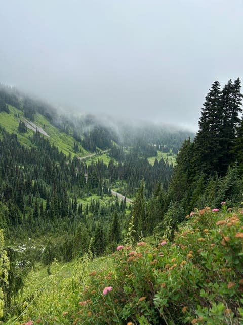 undefined Gallery Image 3