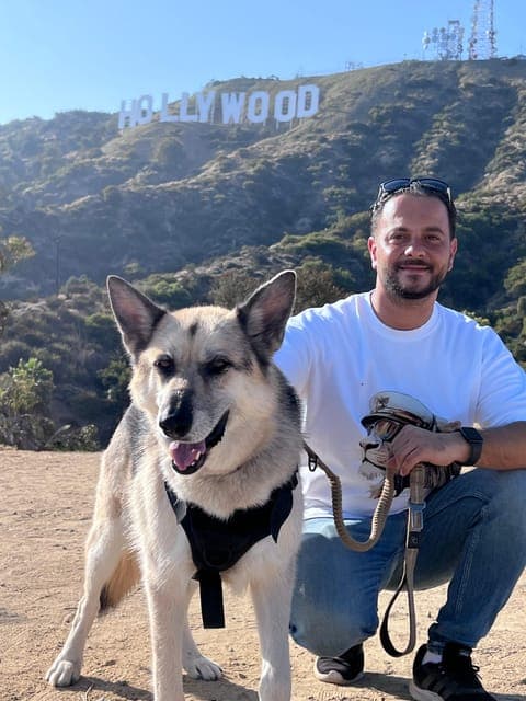 undefined Gallery Image 3