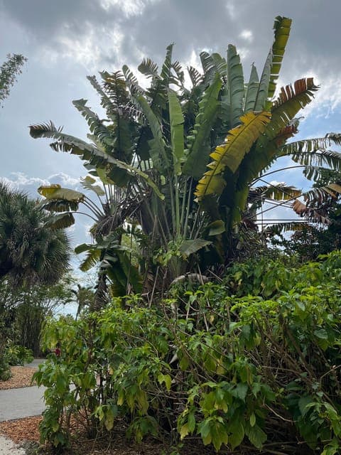 undefined Gallery Image 2