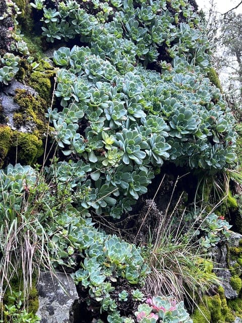 undefined Gallery Image 1