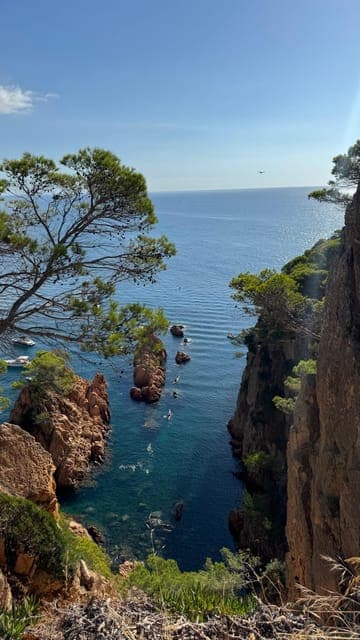 undefined Gallery Image 3