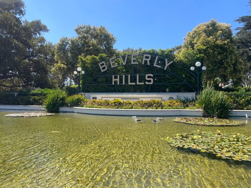 undefined Gallery Image 1