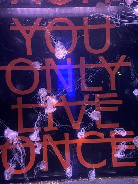 undefined Gallery Image 4