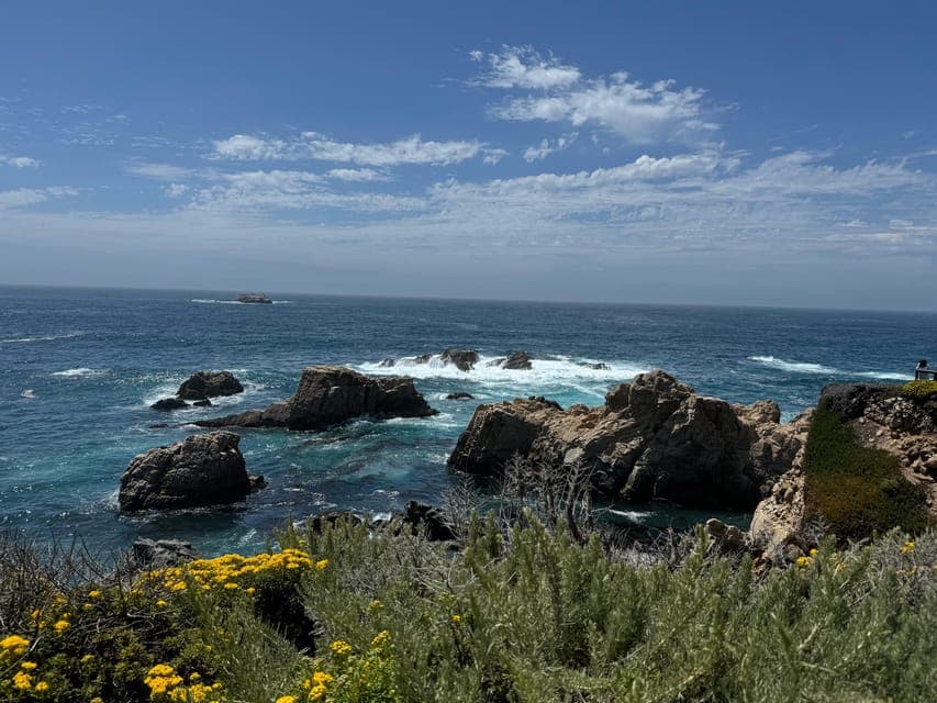 undefined Gallery Image 1