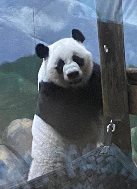 undefined Gallery Image 1