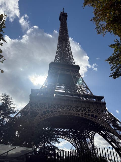 undefined Gallery Image 1