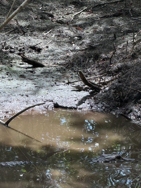 undefined Gallery Image 2