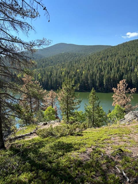 undefined Gallery Image 1