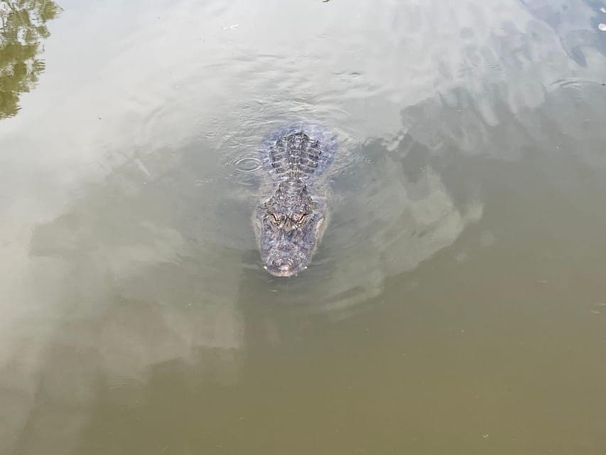 undefined Gallery Image 1