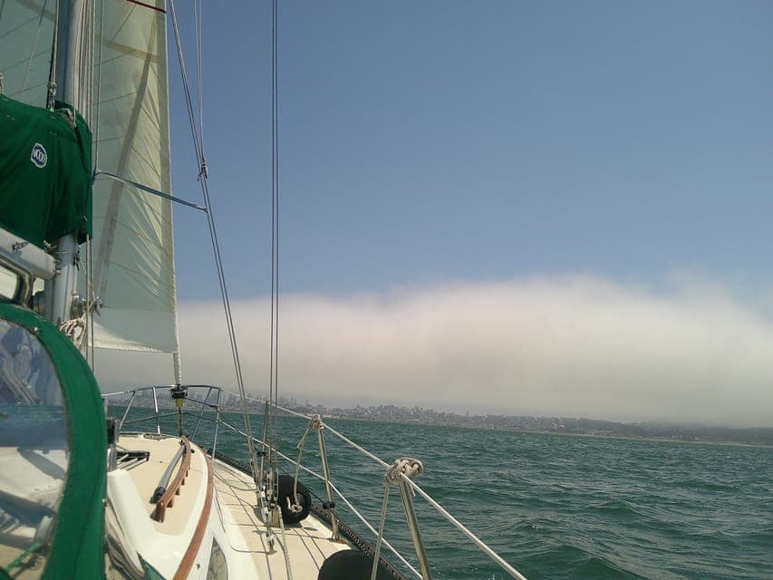 undefined Gallery Image 3