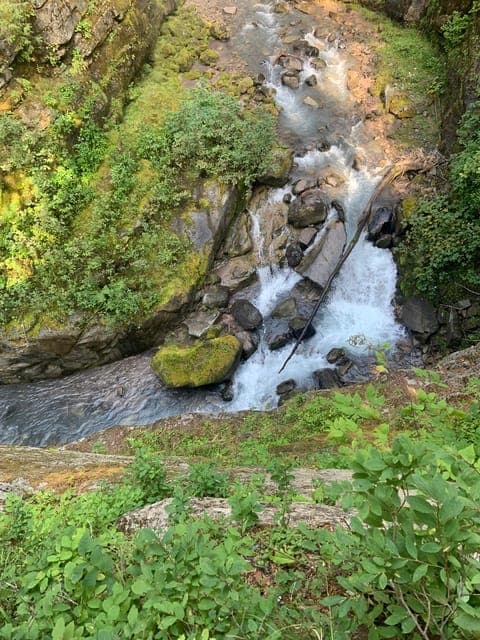 undefined Gallery Image 4