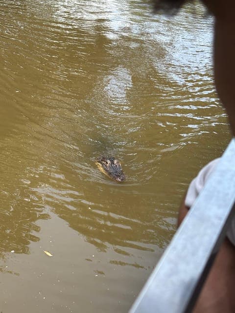 undefined Gallery Image 4