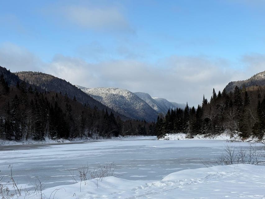 undefined Gallery Image 4