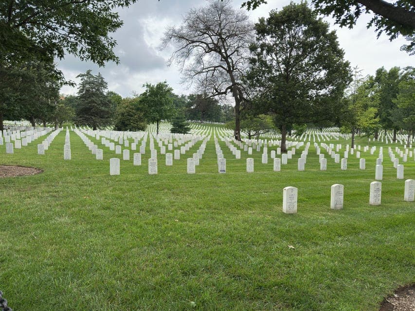 undefined Gallery Image 2