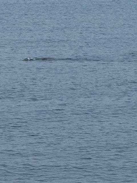 undefined Gallery Image 2