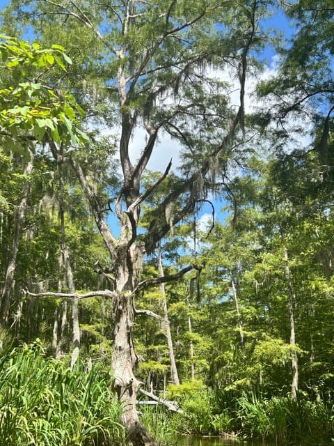 undefined Gallery Image 1